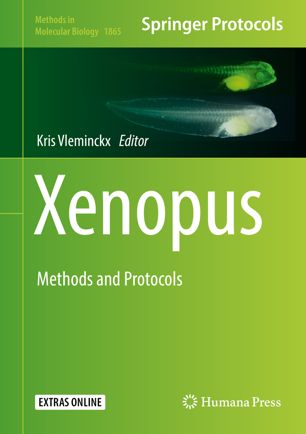Xenopus: Methods and Protocols [electronic resource]