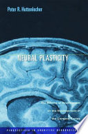 Neural Plasticity [electronic resource]